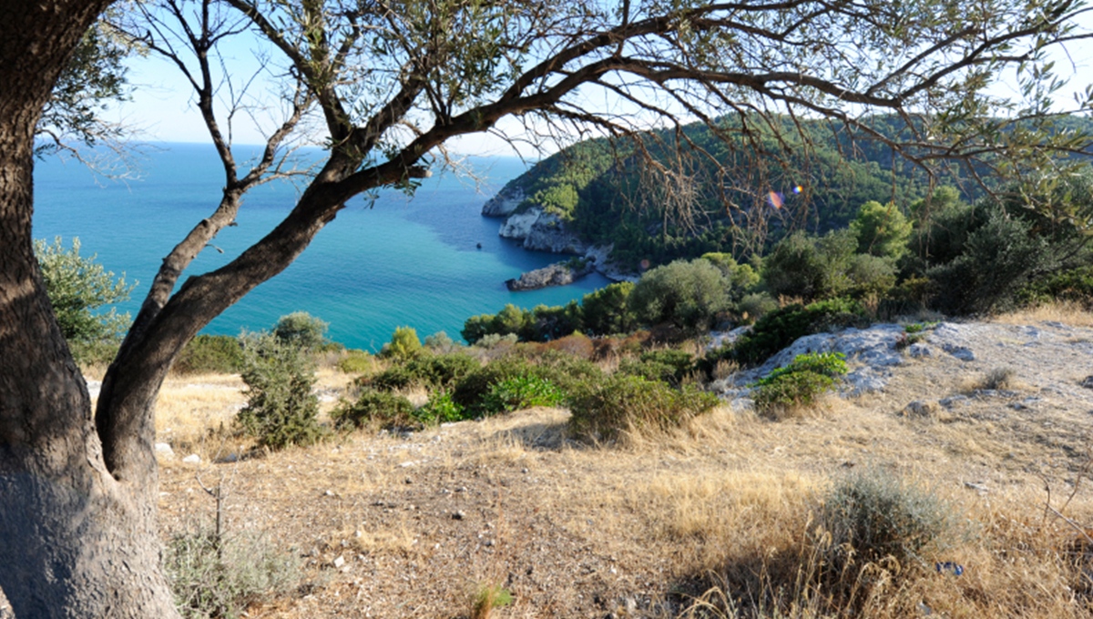 Parco Nazionale del Gargano